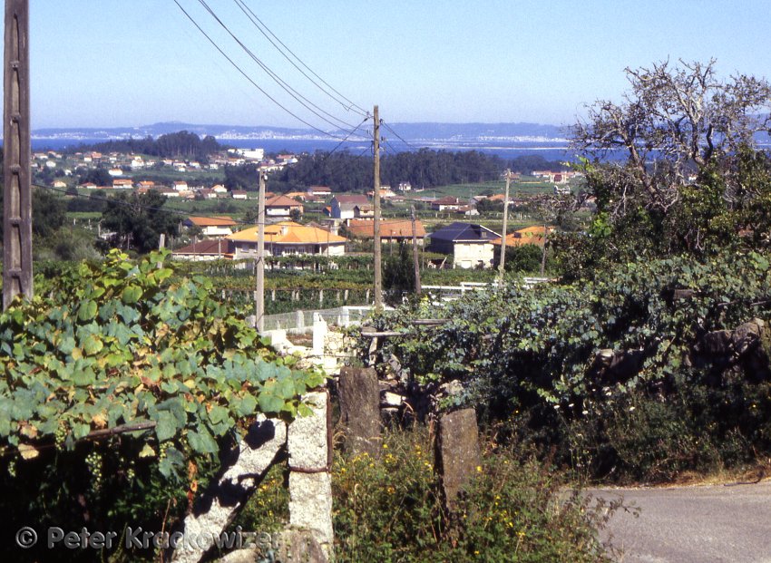 Galicien, im Gebiet des Weißweines Albariño